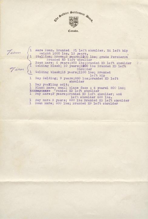 Soldiers Settlement Board
Horse Appraisal